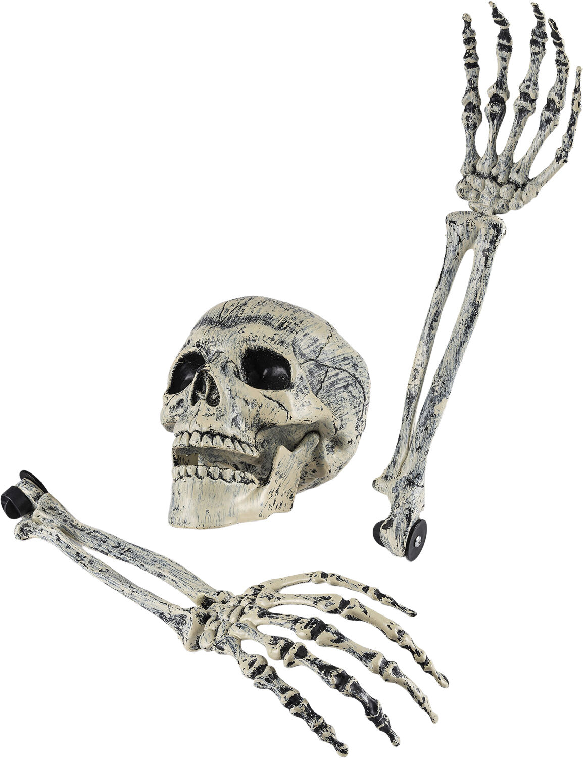 SKELETHOVED-KNOGLER DEKO