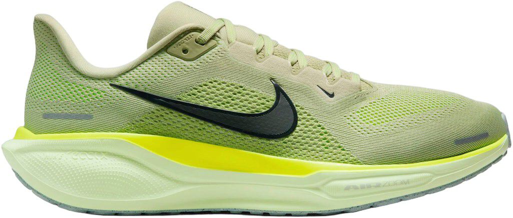 Pegasus 41 L&oslash;besko