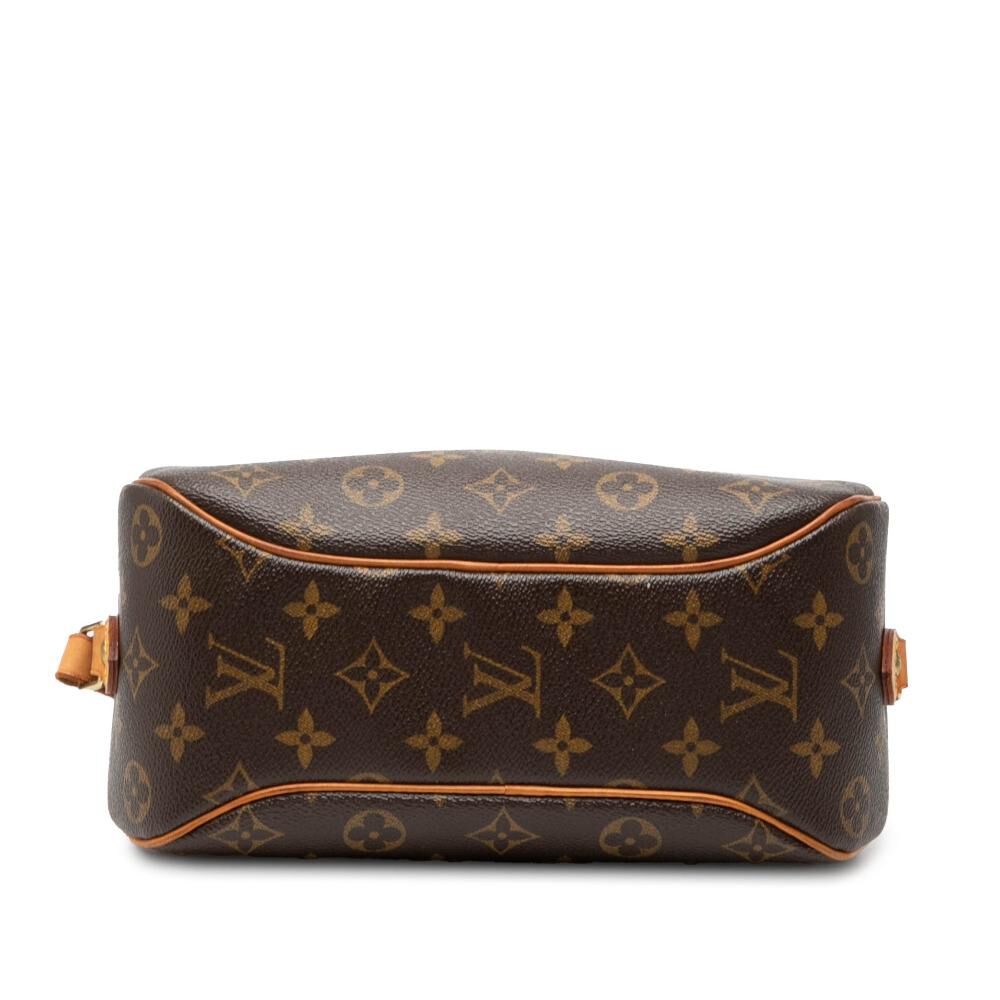 Louis Vuitton Blois