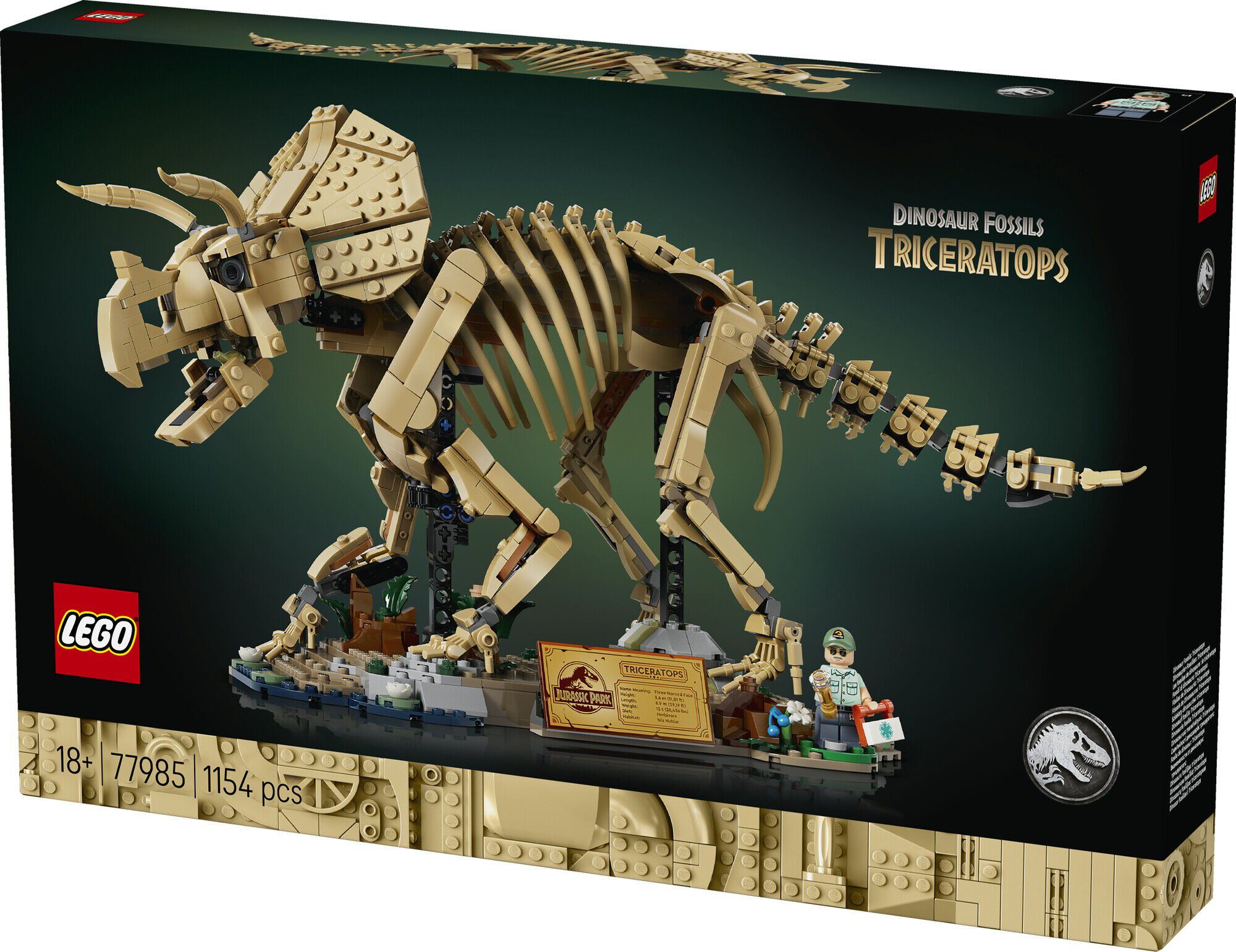 Dinosaurfossiler - Triceratops 77985