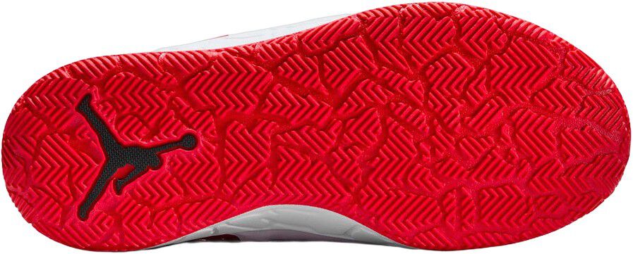 JORDAN DAY1 EO SNEAKERS