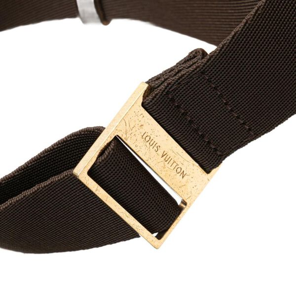 Louis Vuitton Crossbody Bag