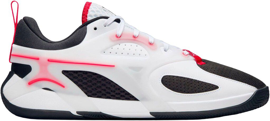 Jordan Heir Sneakers