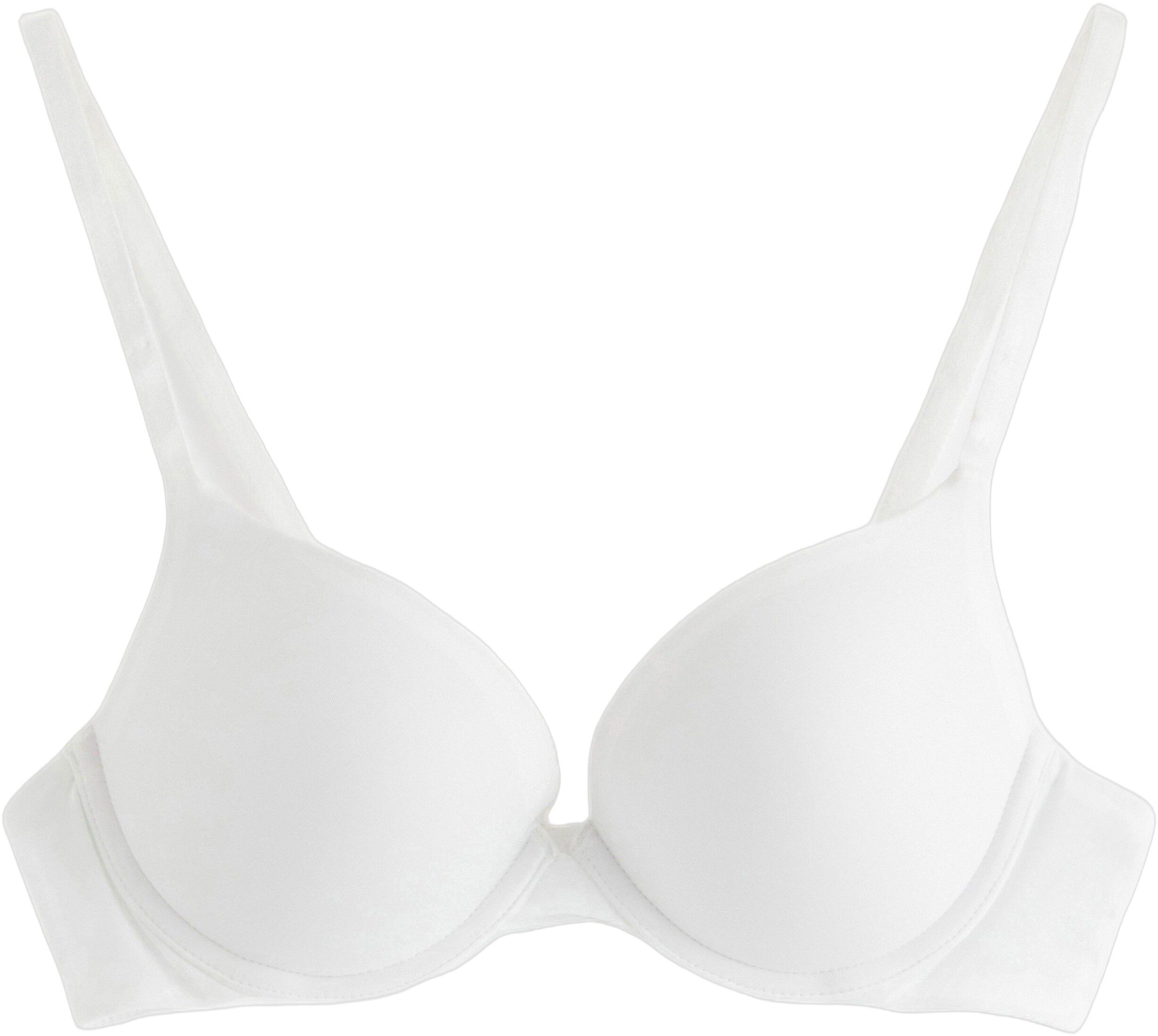 Malva push-up-bh