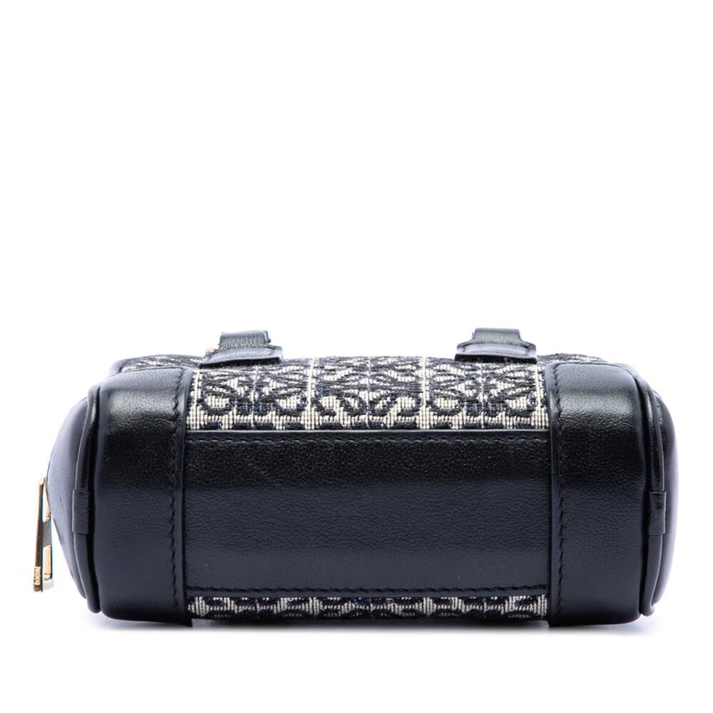 Loewe Amazona