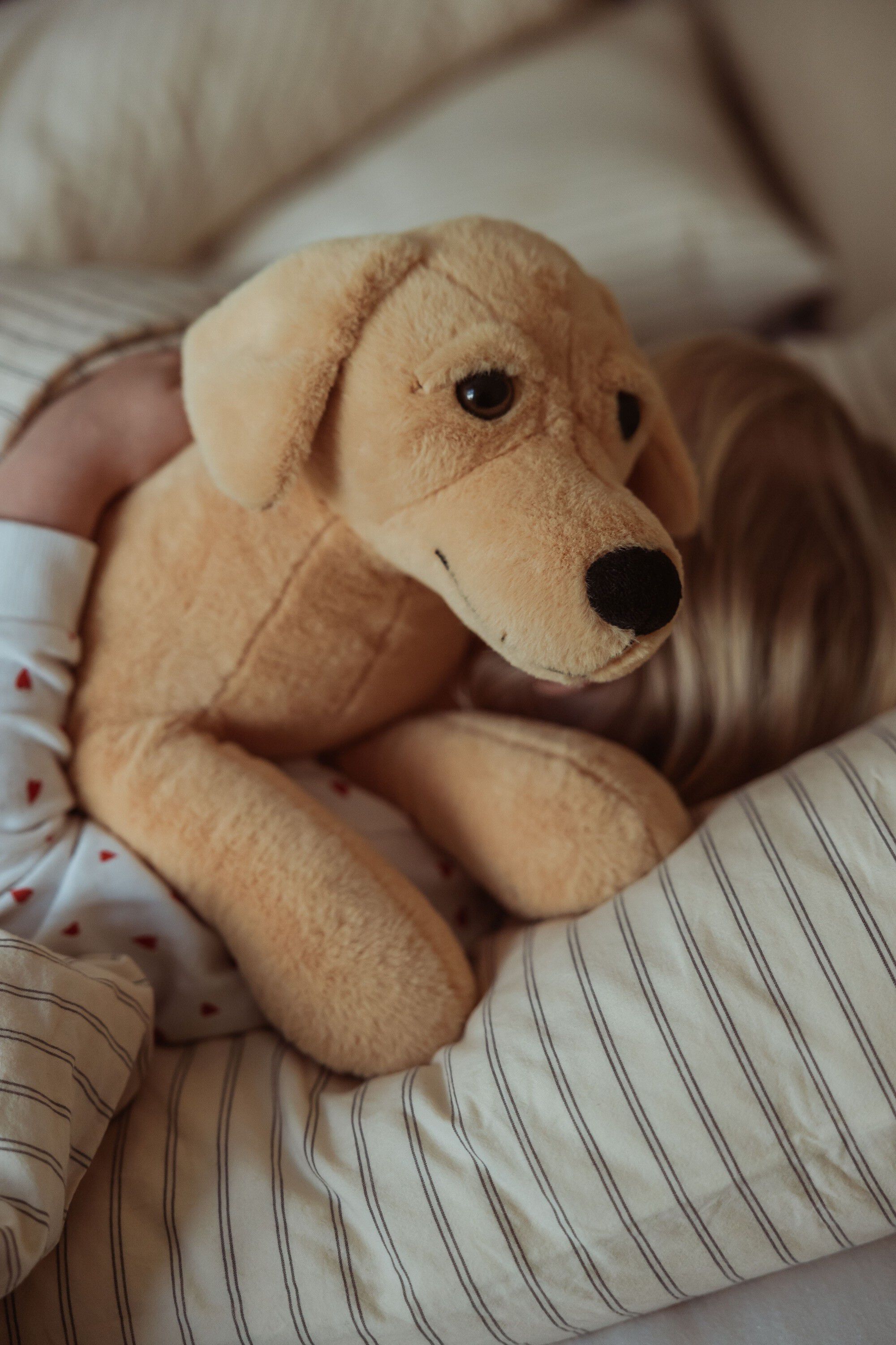 TYNGDEDYR HUND. 2,2 KG