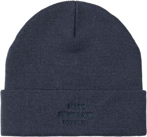 Isak Ambas Logo Beanie
