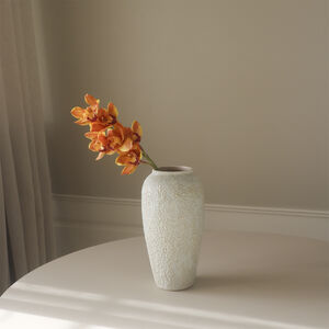 Cymbidium Orchid Flower