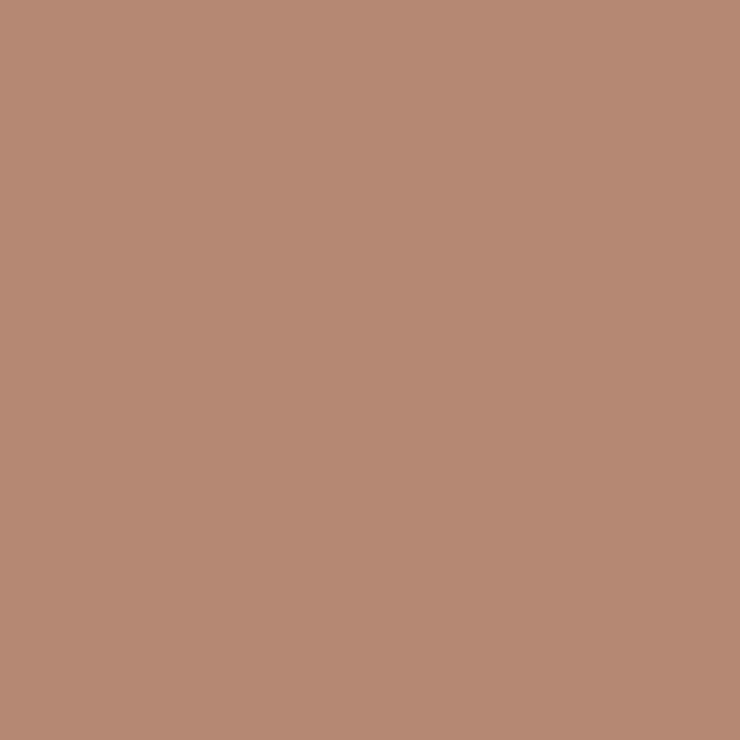 Radiant - Creamy Concealer