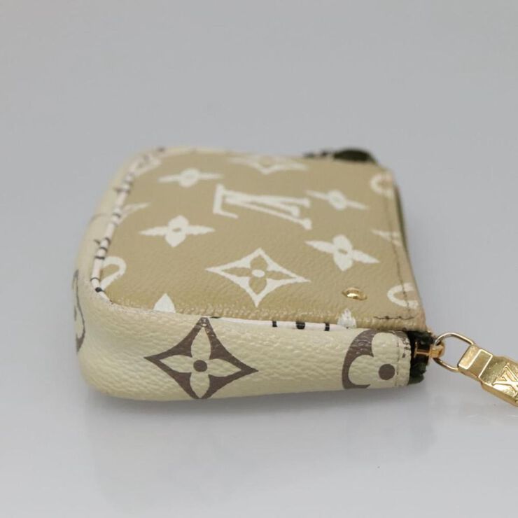 Louis Vuitton Pochette Accessoires