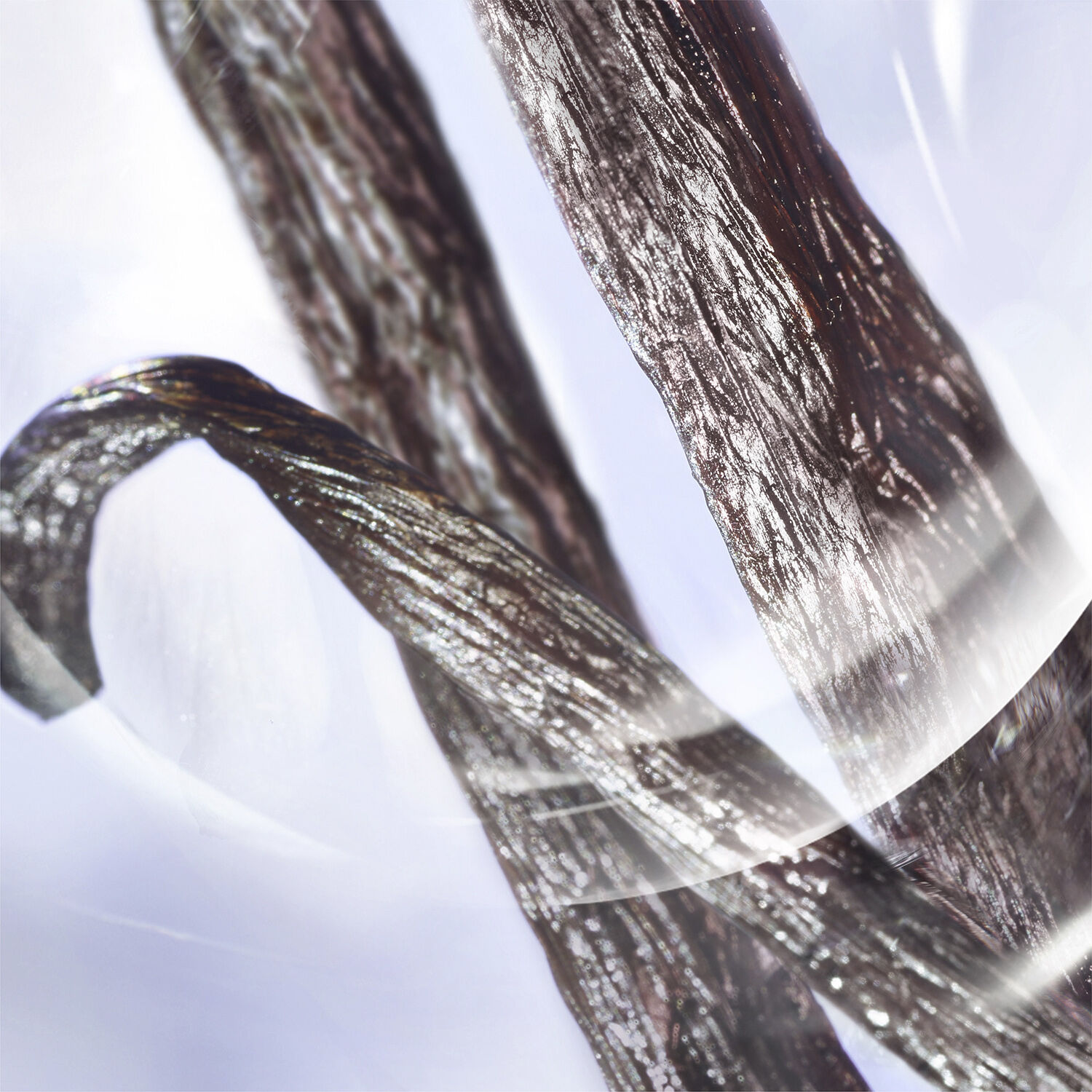 Lanc&ocirc;me La vie est Belle Iris Absolu Eau de Parfum