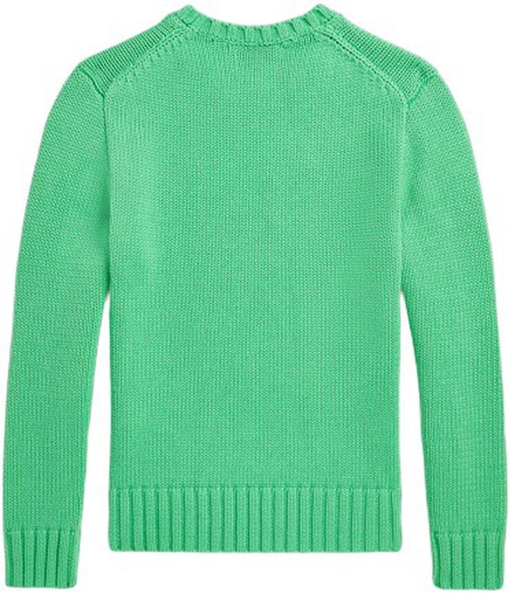 The Iconic Flag Sweater Teens