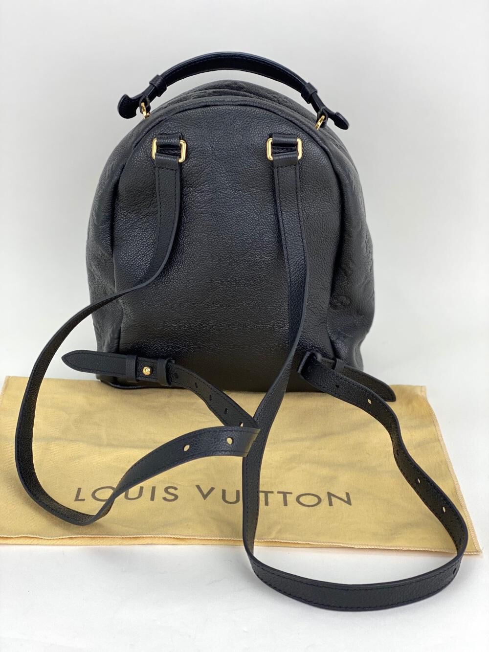 Louis Vuitton Backpack