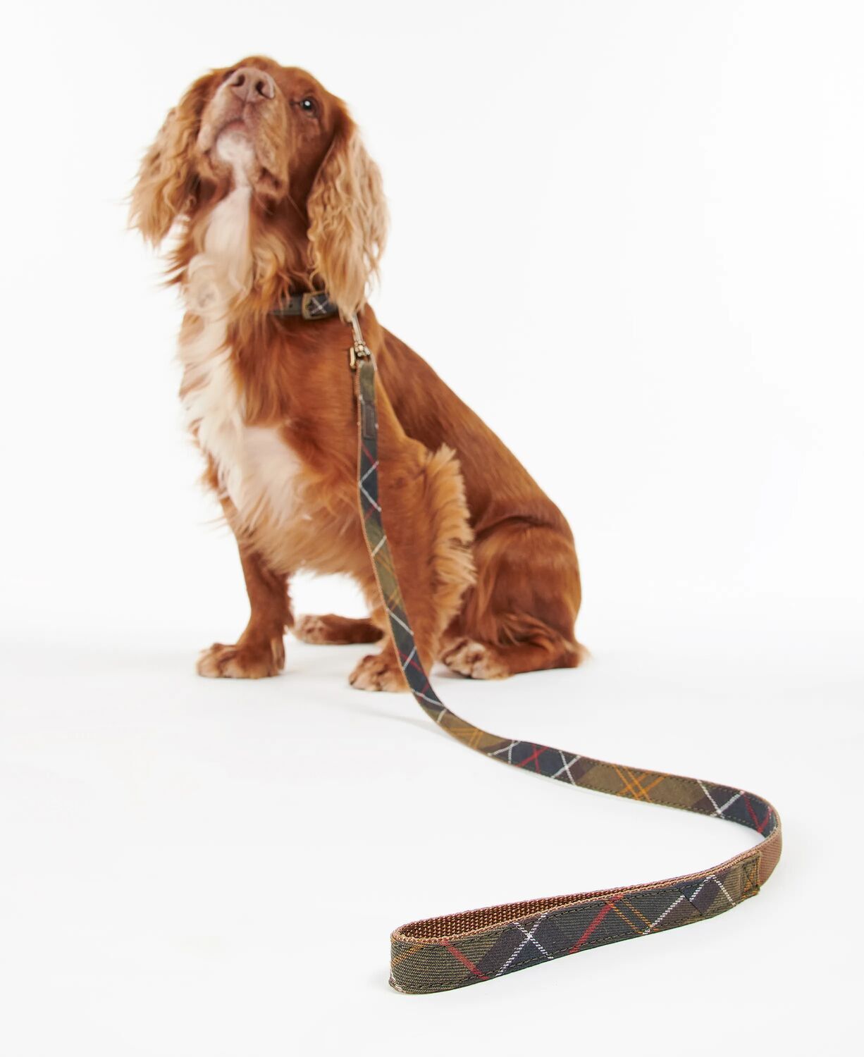 Barbour Tartan/Webbing Dog Lead