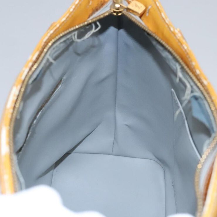 Louis Vuitton Houston