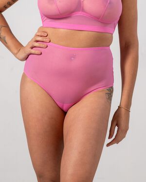 Mesh Highwaist Briefs