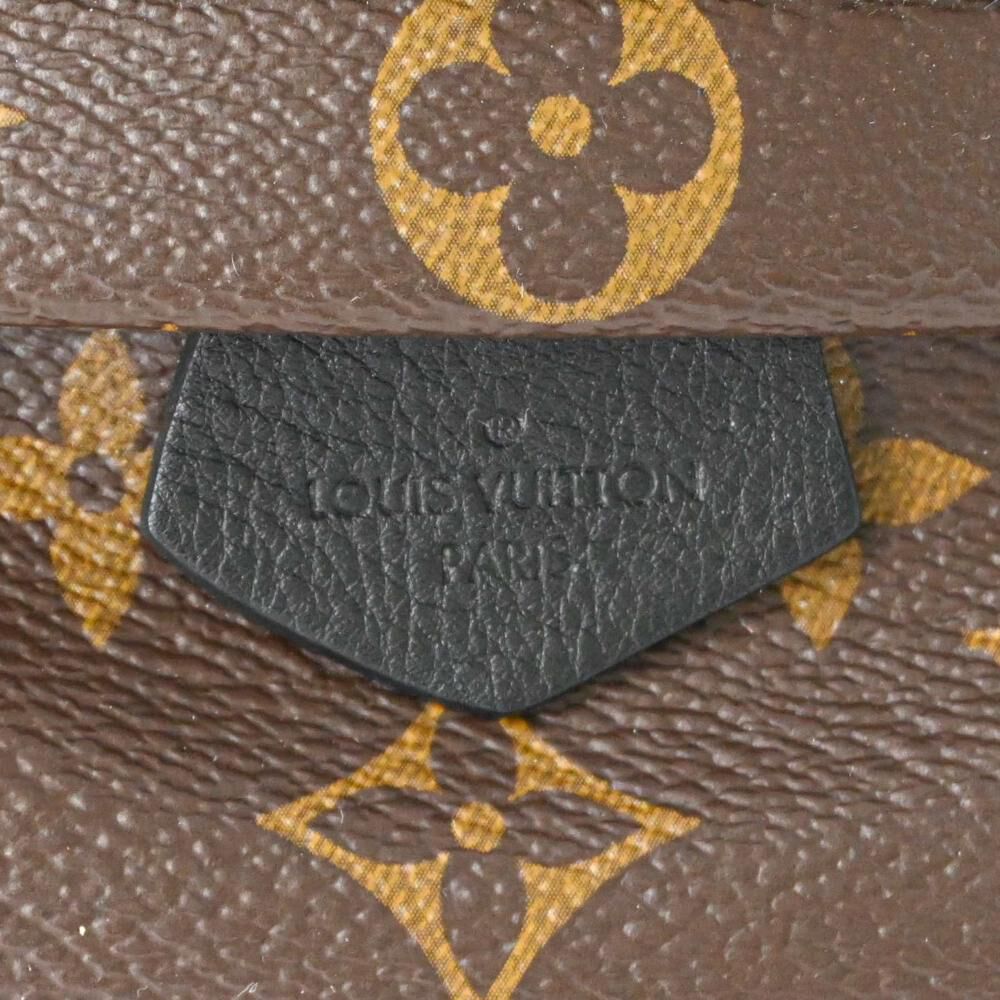 Louis Vuitton Palm Springs