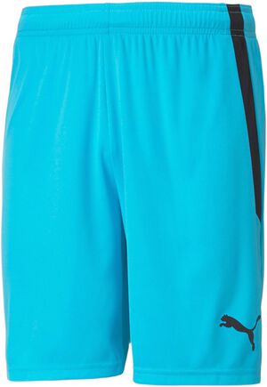 Teamliga shorts