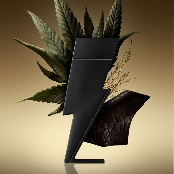 CAROLINA HERRERA Bad Boy Le Parfum Eau de parfum 100 ML