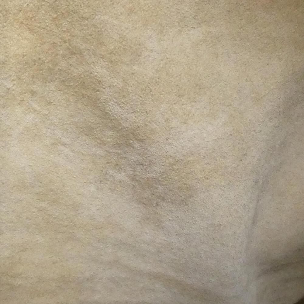 Bottega Veneta Handbag