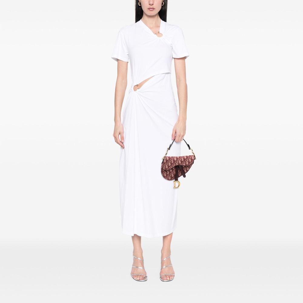 Dior Saddle Bag
