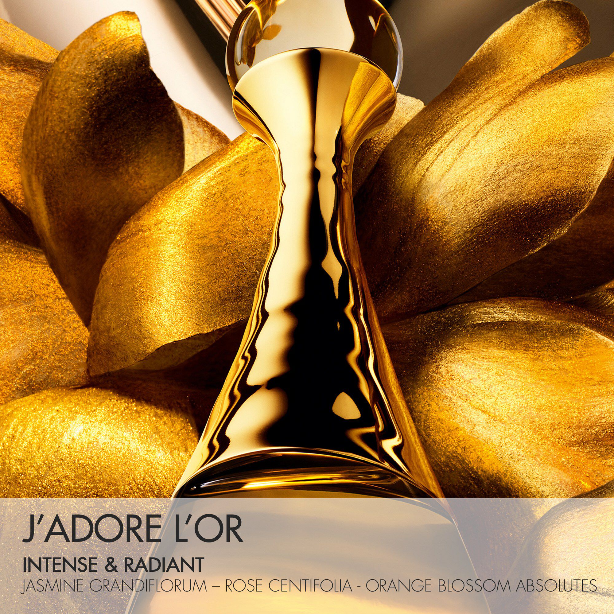 J'adore L'Or Eau de Parfum Refill