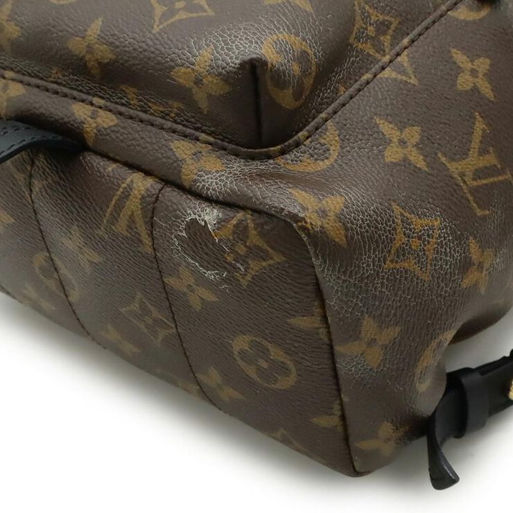 Louis Vuitton Palm Springs