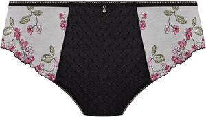 ELIYSE BRIEF