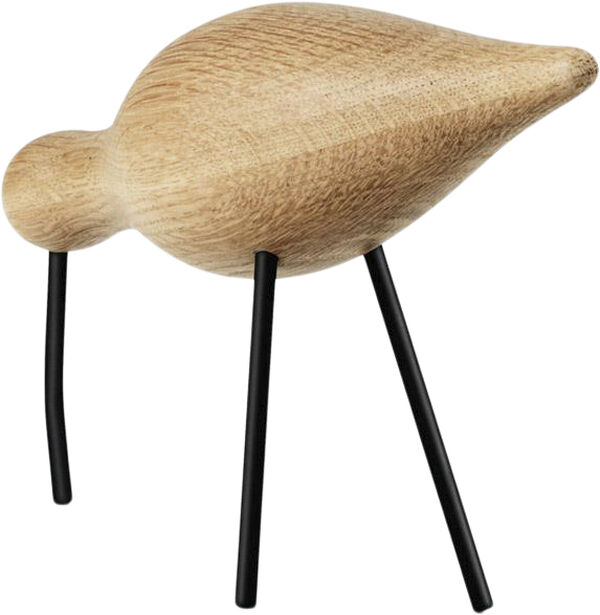Shorebird stor sort