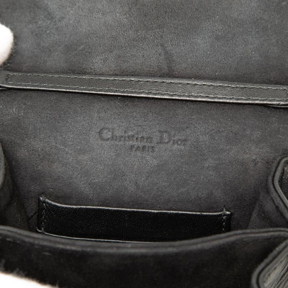 Dior Crossbody Bag