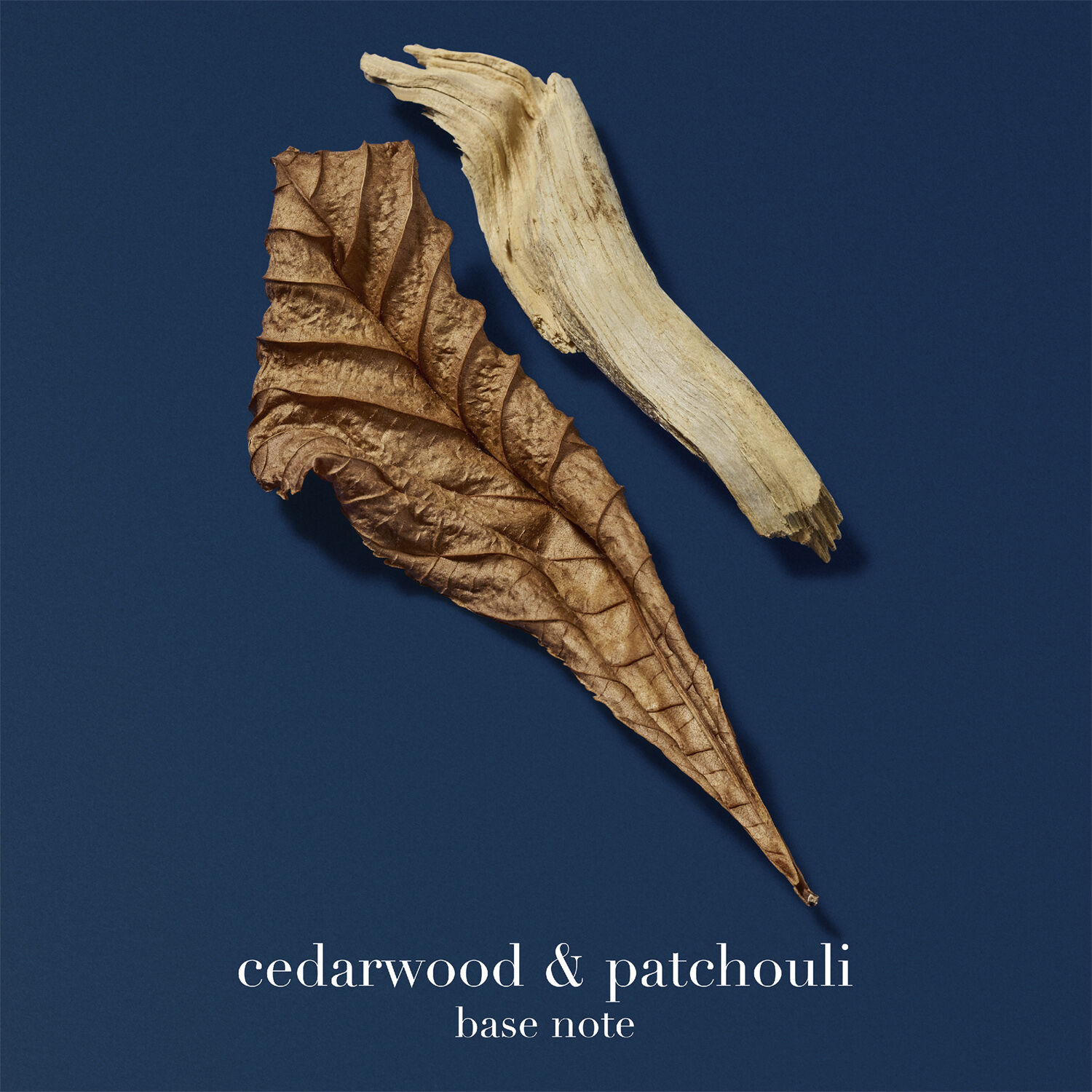 Acqua di Gi&ograve; Profondo Eau de Parfum Refill