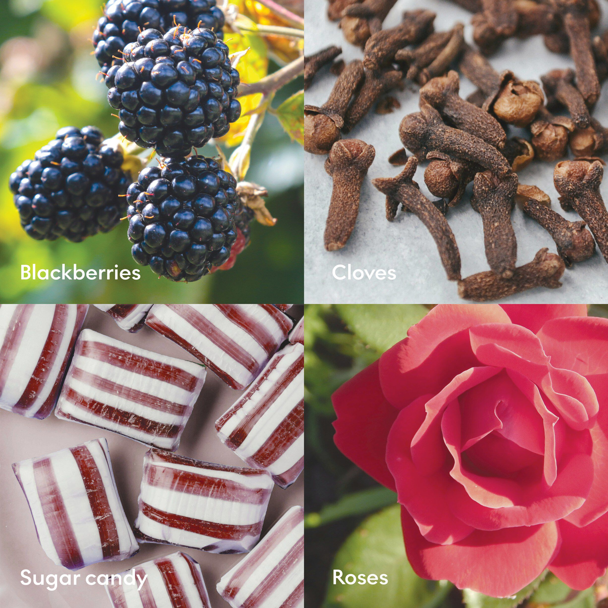 KYSS Scented Candle 200g