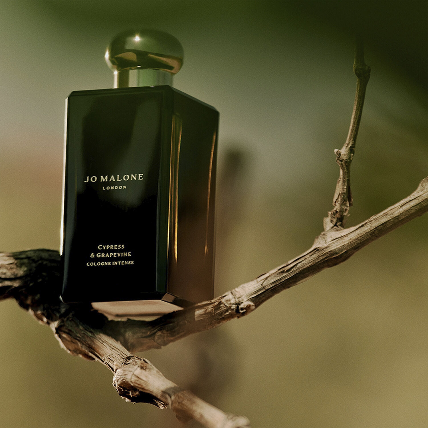 Cypres & Grapevine Cologne Intense