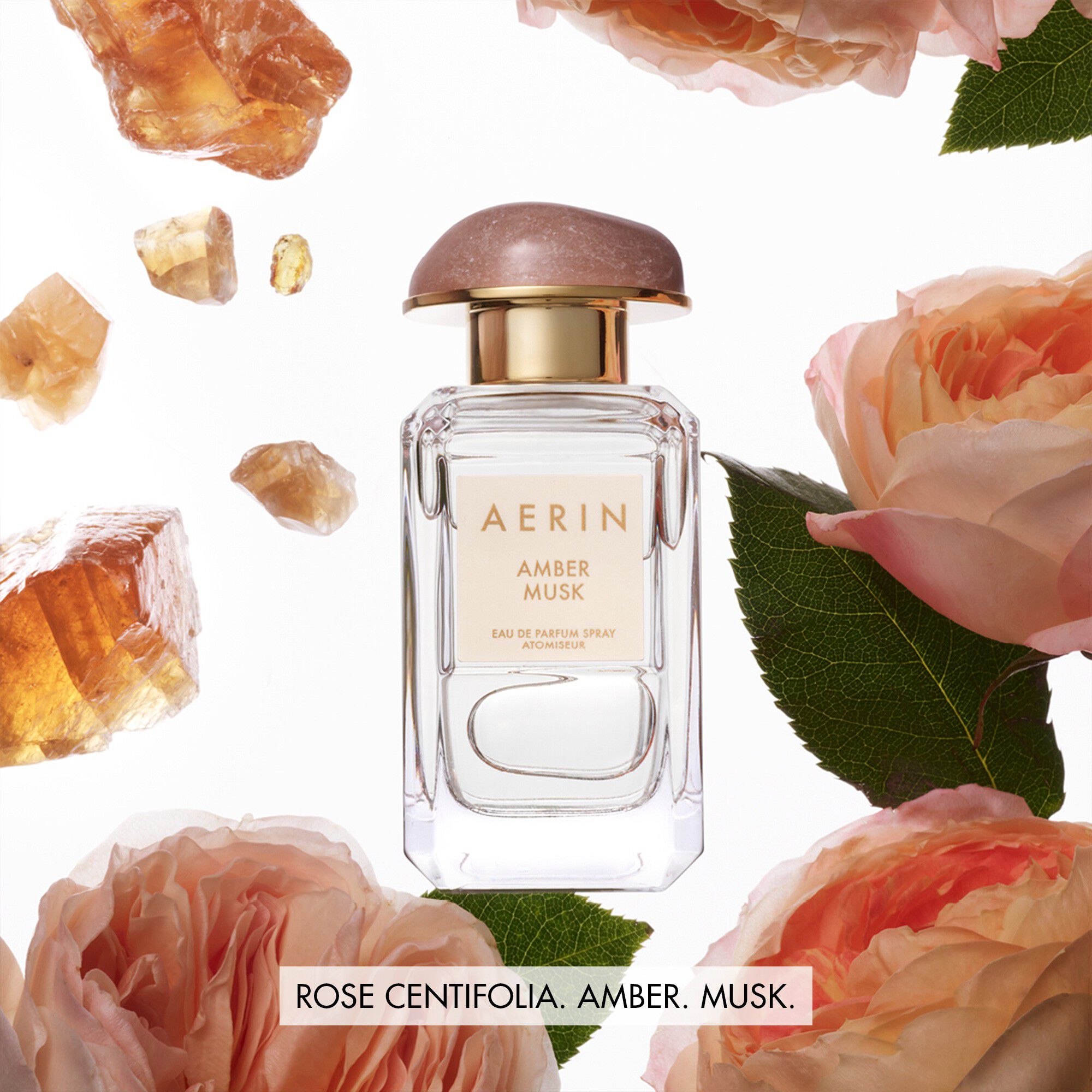 Amber Musk Eau de Parfum 50 ml.
