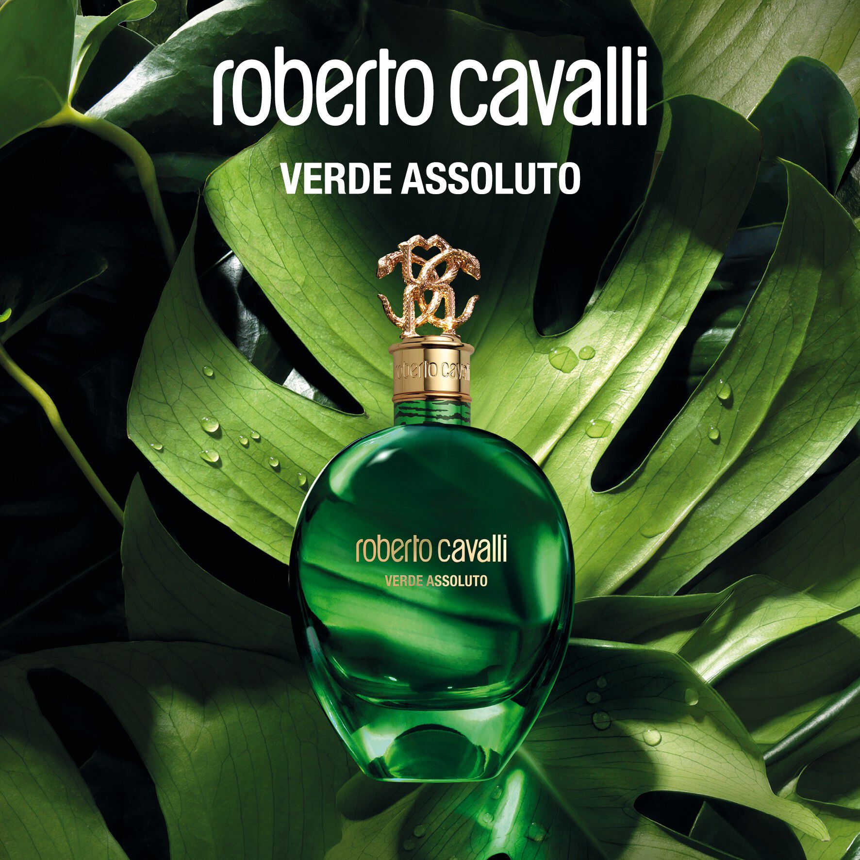 Signature Verde Assoluto