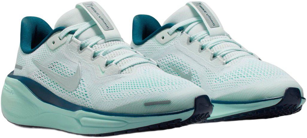 Pegasus 41 L&oslash;besko