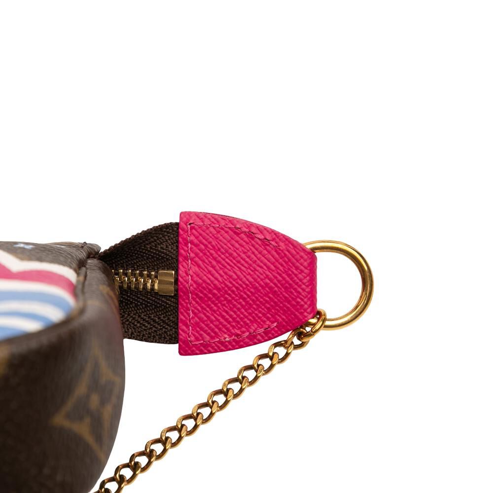 Louis Vuitton Pochette Accessoires