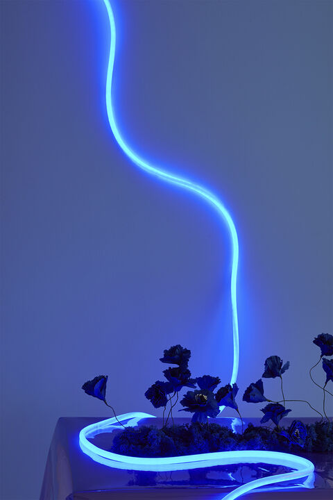 FLEX TUBE, 5 M, BLUE