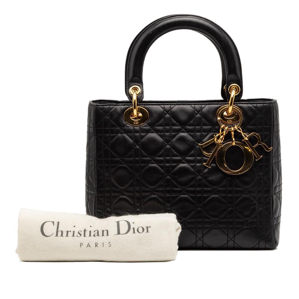 Dior Handbag
