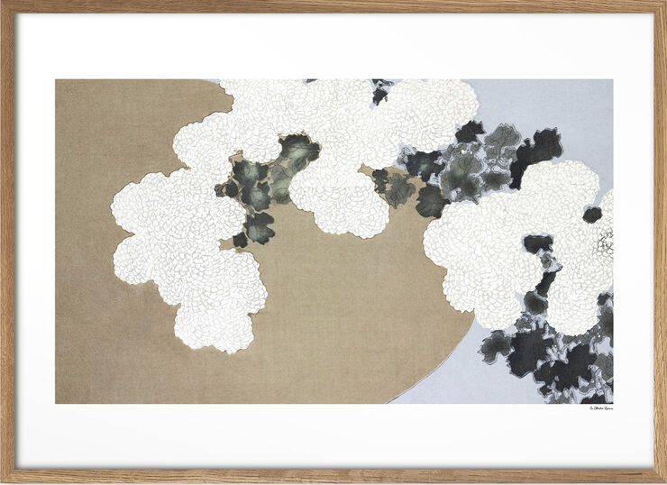 la collection japonaise 05