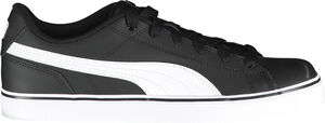 Court Point Vulc v2