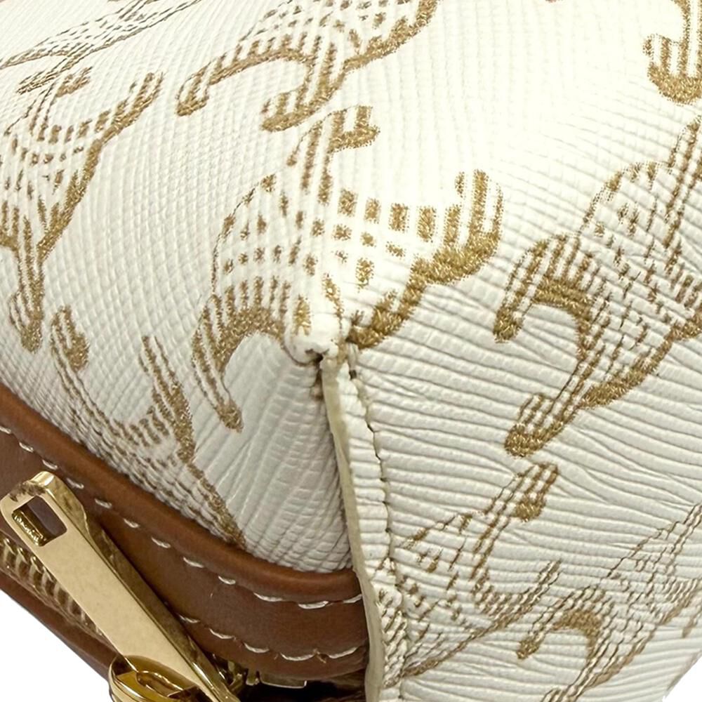 Celine Crossbody Bag