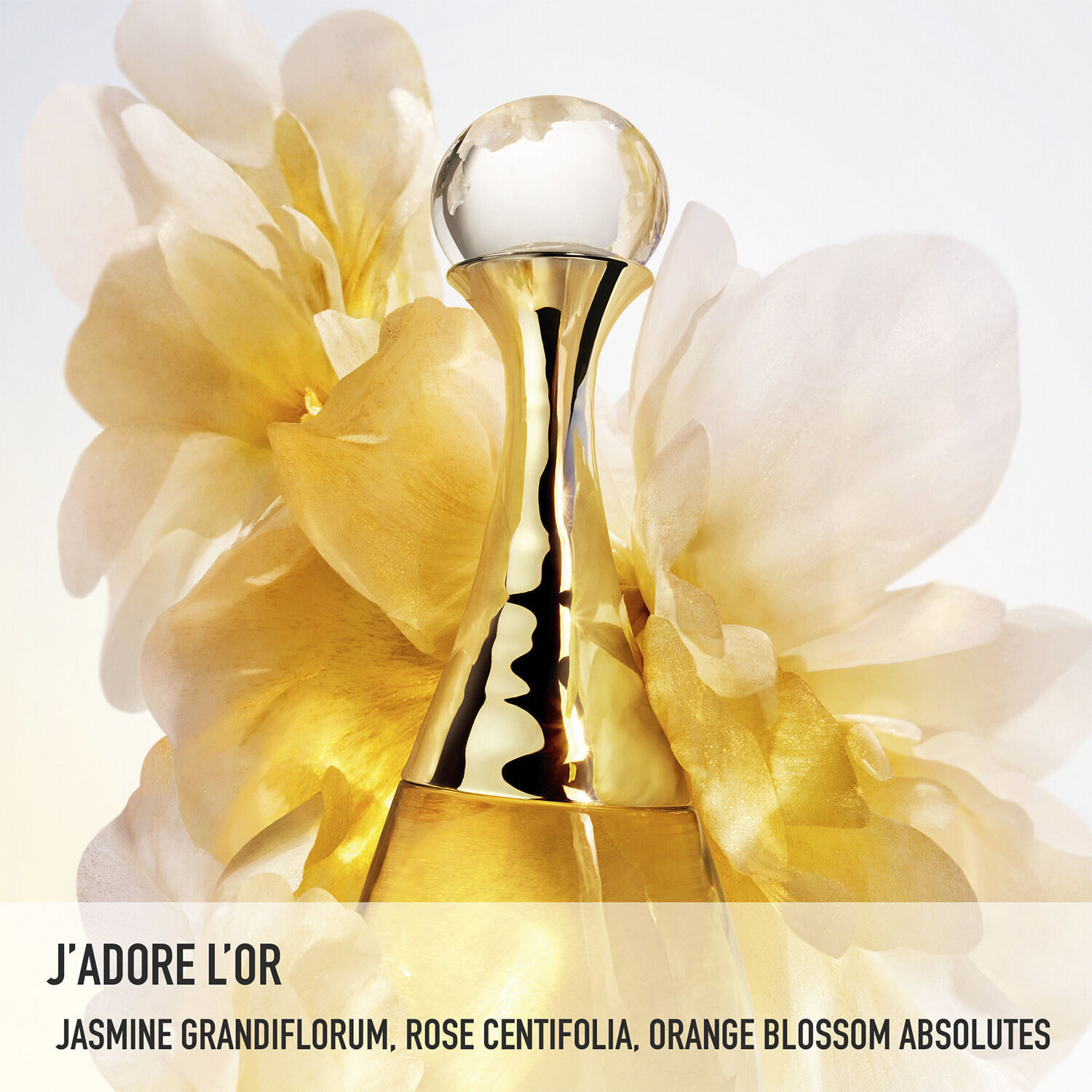 Jadore LOr Fragrance with Floral Notes