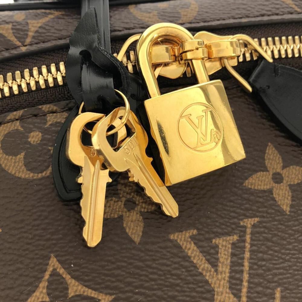 Louis Vuitton Handbag