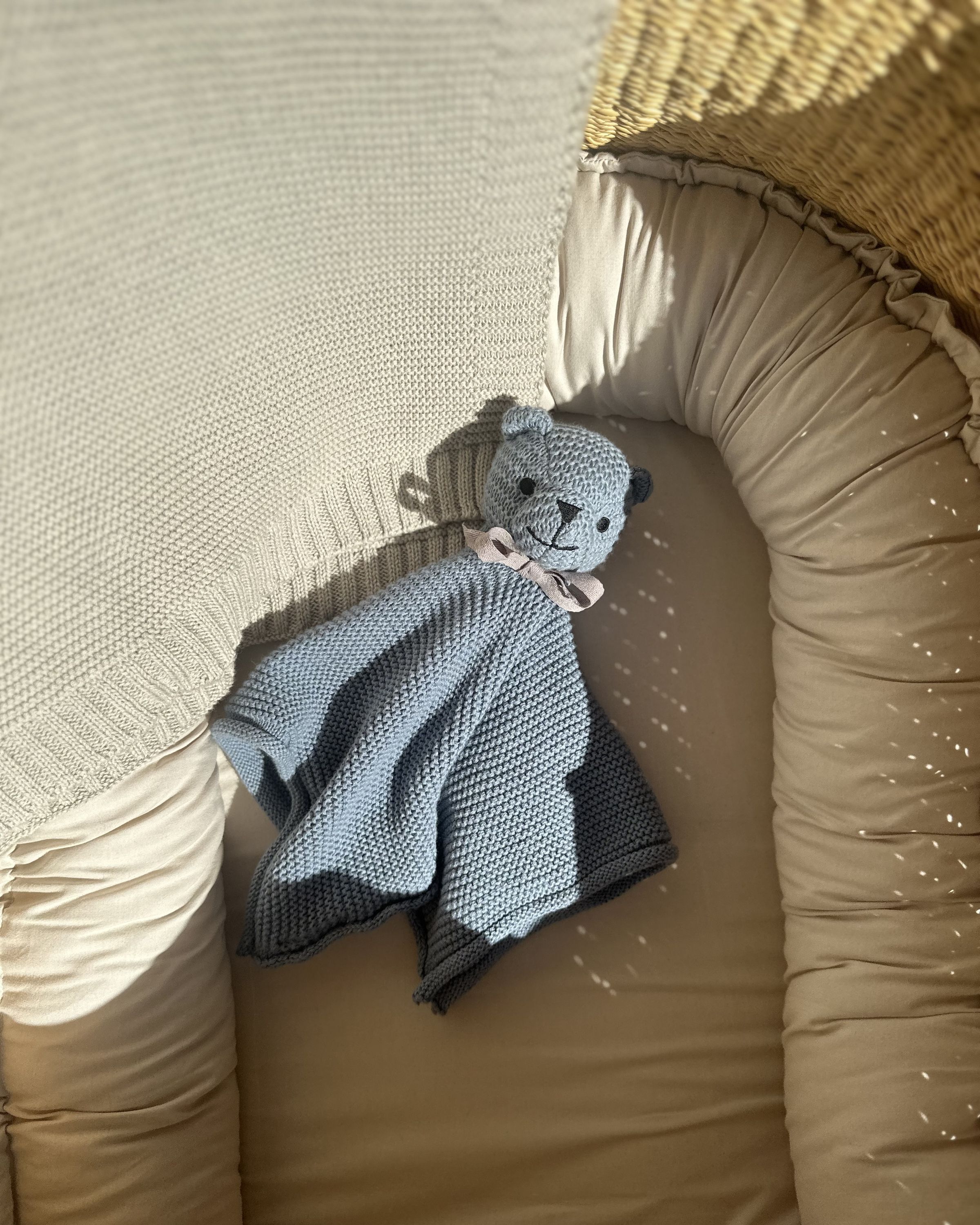 Cuddle Cloth Teddy