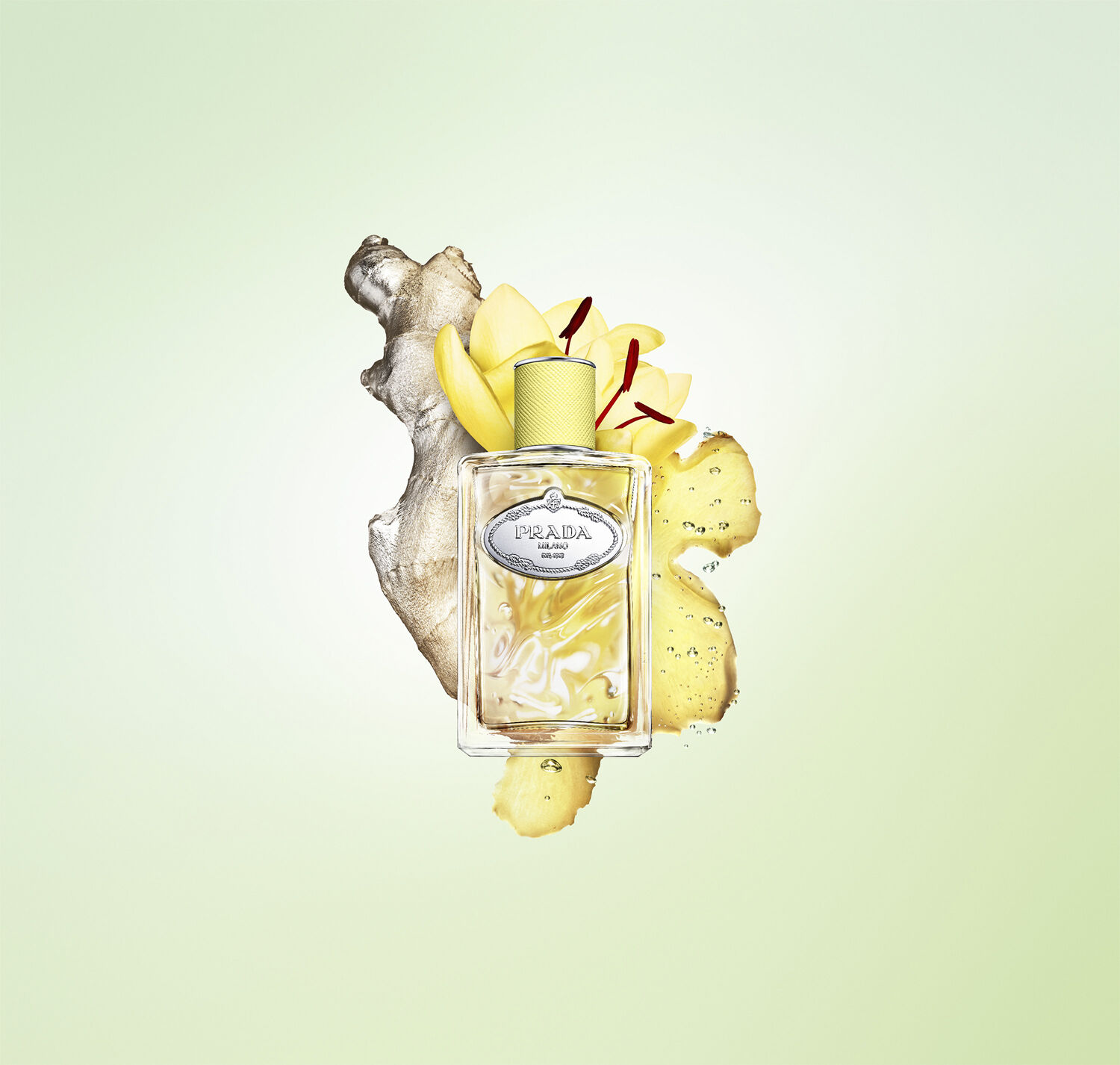 Prada Infusion de Gingembre Eau de Parfum 100ml