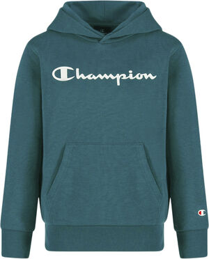 Hooded sweatshirt