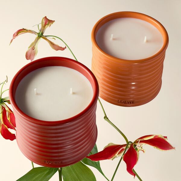 LOEWE Orange Bloss Medium Candle