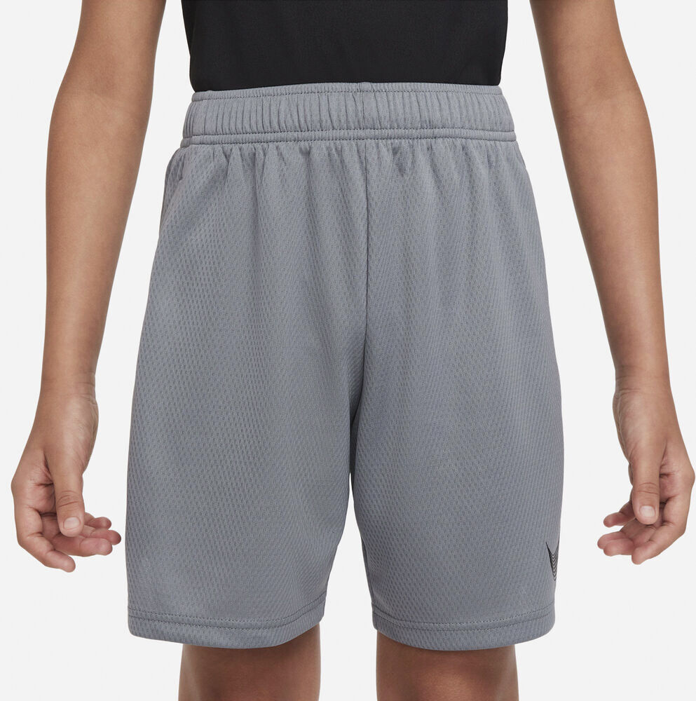 Dri Fit Traeningsshorts