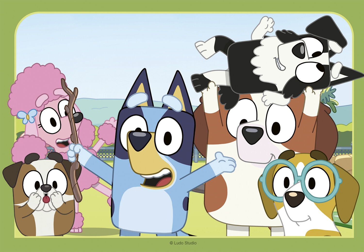 Ravnsburger 2x12 brik ass